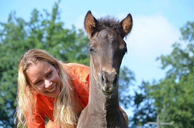 Natuurlijke paardenvoeding Eqinful