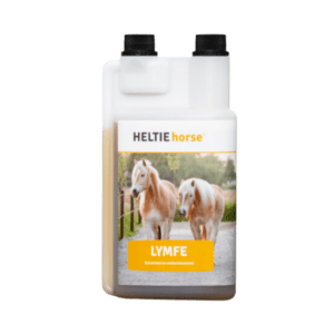 Heltie Horse Lymfe