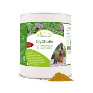 SilyCholin