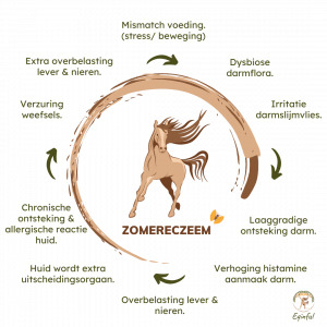 Zomereczeem oorzaak paarden Eqinful